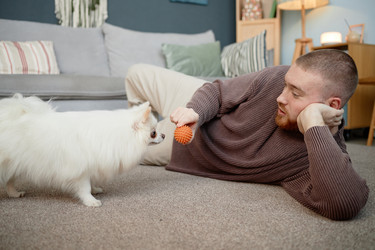 Similar image 22063142