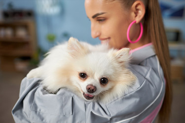 Similar image 22065353