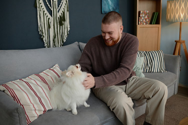 Similar image 22063124