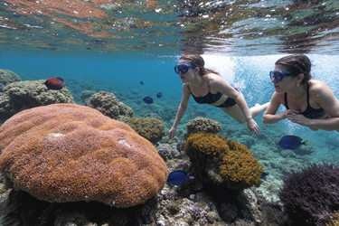 Similar image 22066124