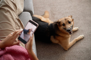 Similar image 22063211