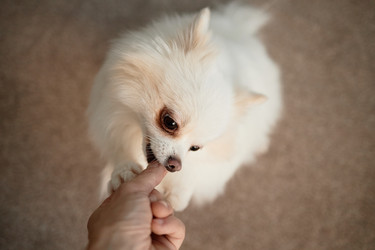 Similar image 22063159