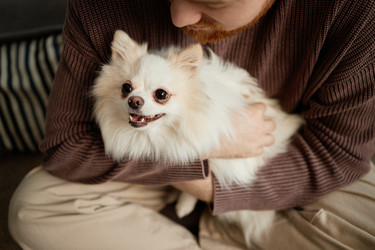 Similar image 22063185