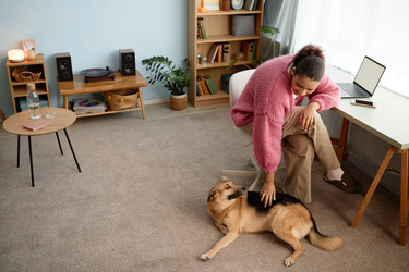 Similar image 22063131