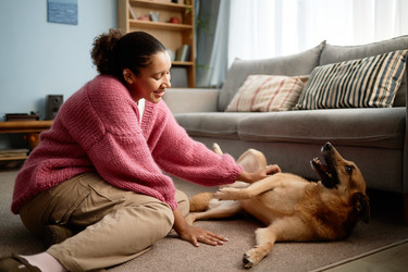 Similar image 22063128