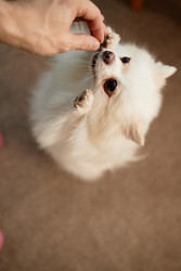 Similar image 22063156