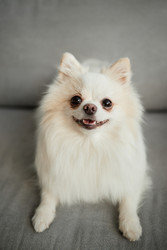 Similar image 22063189