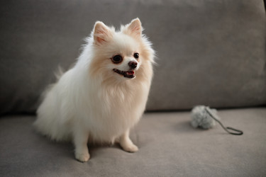 Similar image 22063198