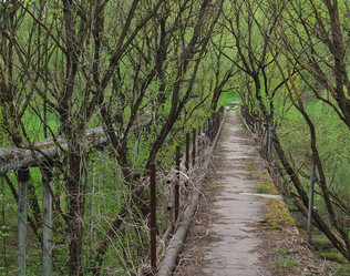 Similar image 22084100