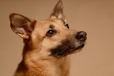 Similar image 22063163