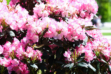 Similar image 22078824