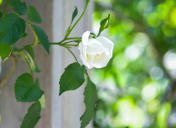 Similar image 22078825