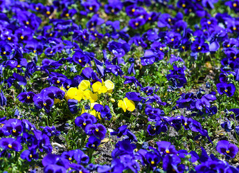 Similar image 22078844