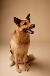 Similar image 22063133