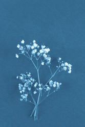 Similar image 22073376