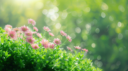 Similar image 22088730