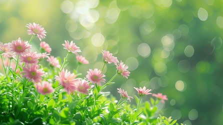 Similar image 22090027