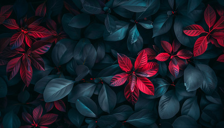 Similar image 22088733