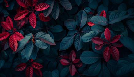 Similar image 22088737