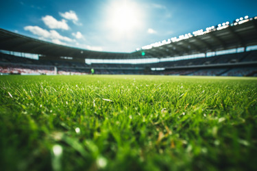 Similar image 22076581