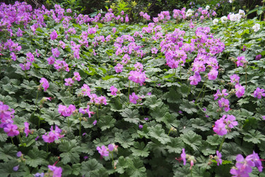 Similar image 22074834