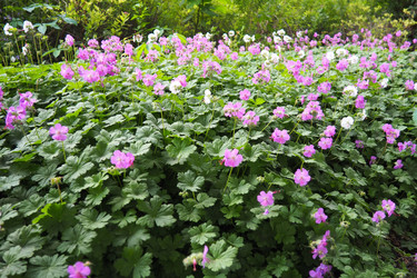 Similar image 22075044