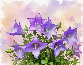 Similar image 22075076