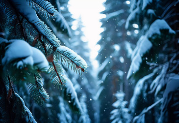 Similar image 22075297