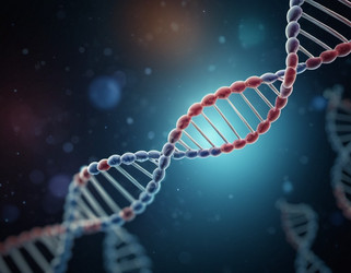 Similar image 22075089