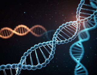 Similar image 22078034