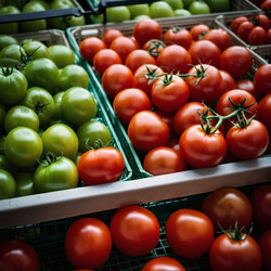 Similar image 22075316