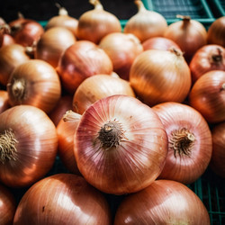 Similar image 22091022