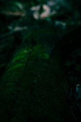 Similar image 22090081