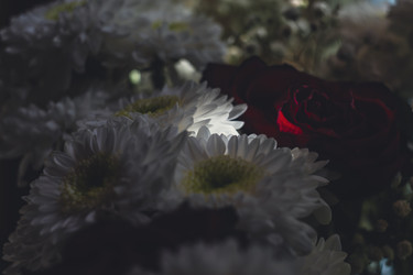 Similar image 22088755