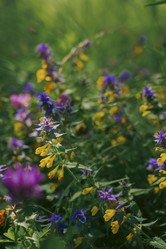 Similar image 22088242