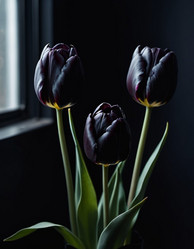 Similar image 22075338