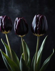 Similar image 22078069