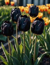 Similar image 22082880