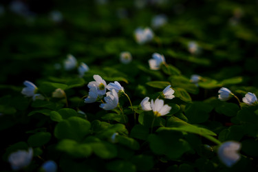 Similar image 22088767