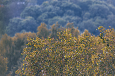 Similar image 22088969