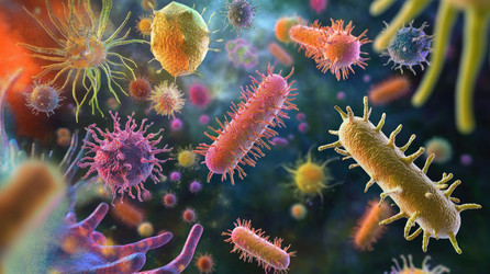 Similar image 22082525