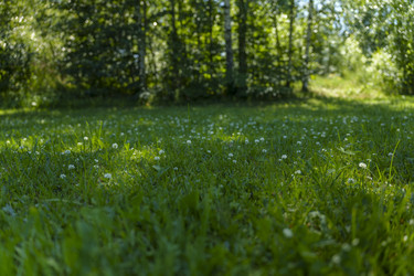 Similar image 22088794