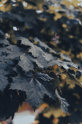 Similar image 22088994