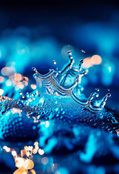 Similar image 22075342