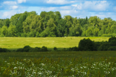 Similar image 22076991