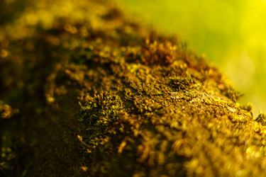 Similar image 22088198