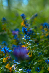 Similar image 22088812