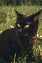 Similar image 22080408