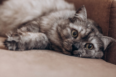 Similar image 22080409