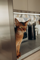 Similar image 22080412